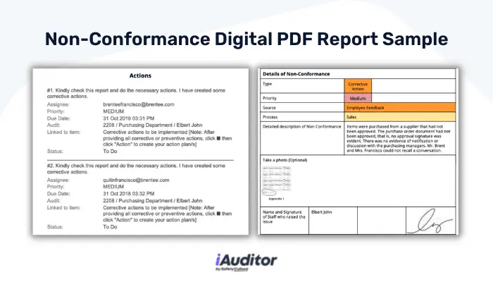 Non-Conformance Digital PDF Report Sample