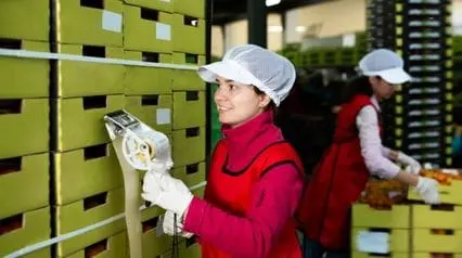 a worker doing food labeling