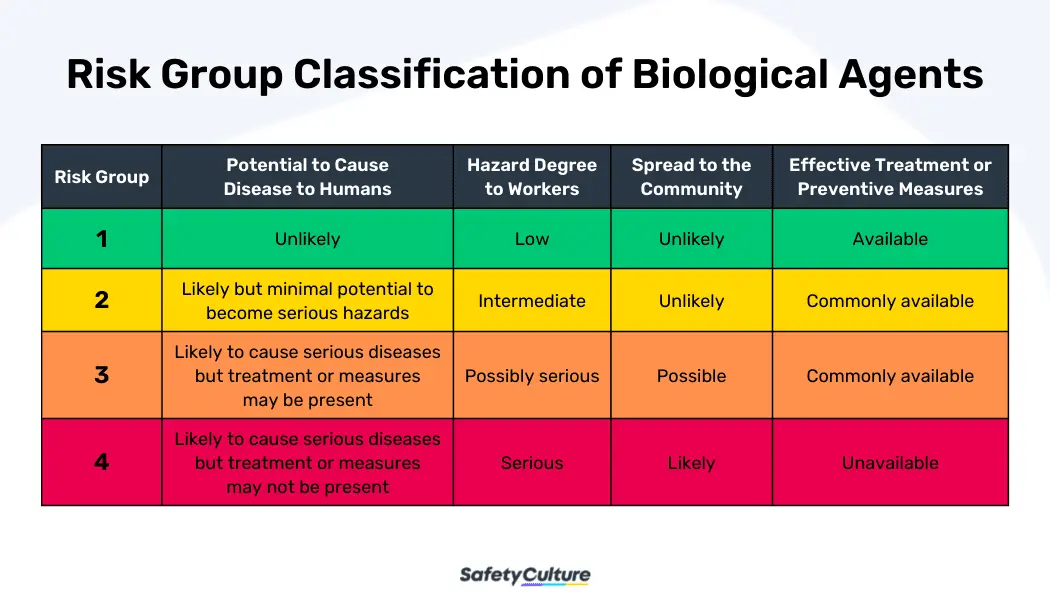 Types of Biological Hazards - Risk Classification of Biological Agents