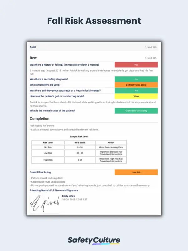 Fall Risk Assessment Example